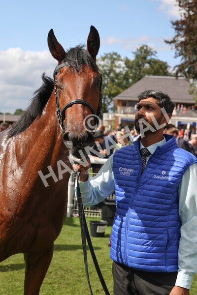 yr19082022r3-52 - Race 3 3.00pm Al Basti Equiworld Dubai Gimcrack Stakes