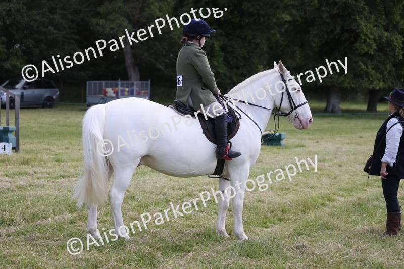 20260614-0775 - Class 20 - Beginners Working Hunter Pony