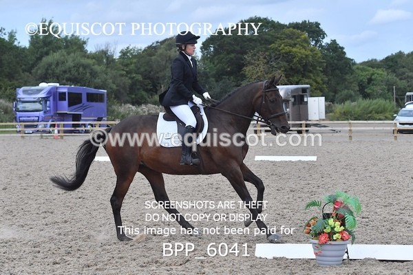 BPP_6041 - NOVICE TEST 4 + 6 LONG ARENA