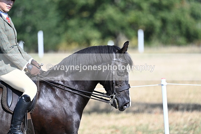 WJ7_3457 - Class 9 Mountain & Moorland Ridden