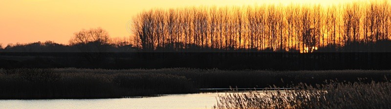  - Landscapes