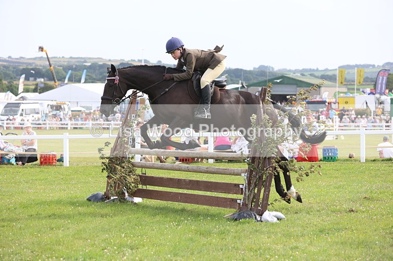 JPP_4221 - Class 25: Working Show Horse