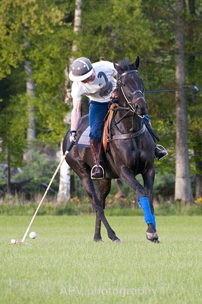 _DSC8233 - POLO Training