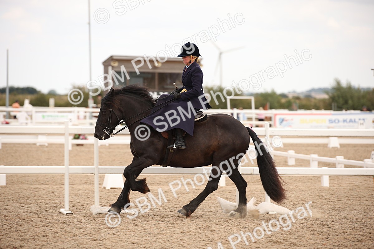 SBM_05367 - Class 22 SSA Equitation