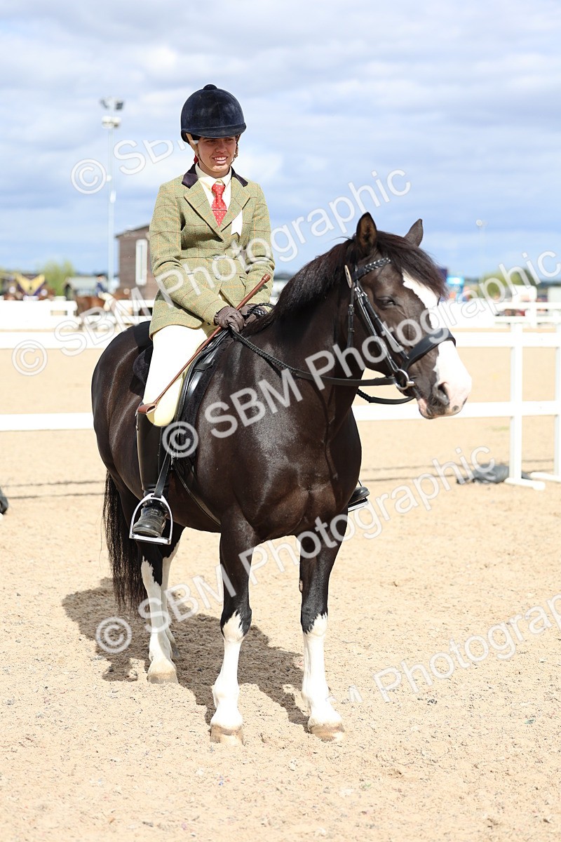 SBM_15845 - Class 314 - Family Horse - Pony