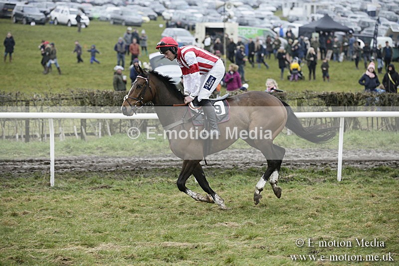 PtP 020418 -123 - Old Berks Point-to-Point Races Easter Monday 02/04/18