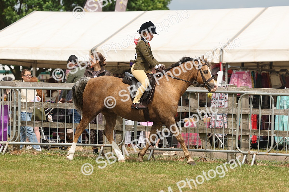 SBM_06853 - Class 74-75 - M&M Lead Rein and First Ridden Pony
