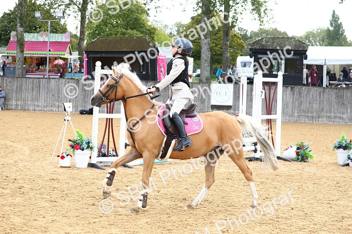 SBM_60014 - J63 - Junior Pony 50cm Championship