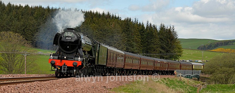 Flying Scotsman - WAVERLEY LINE 2012-2015