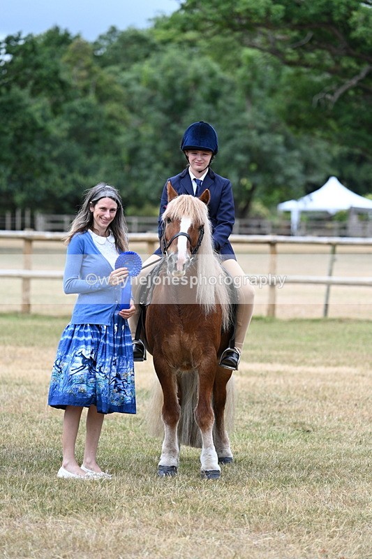 WJ7_0671 - Class 2 Best rider