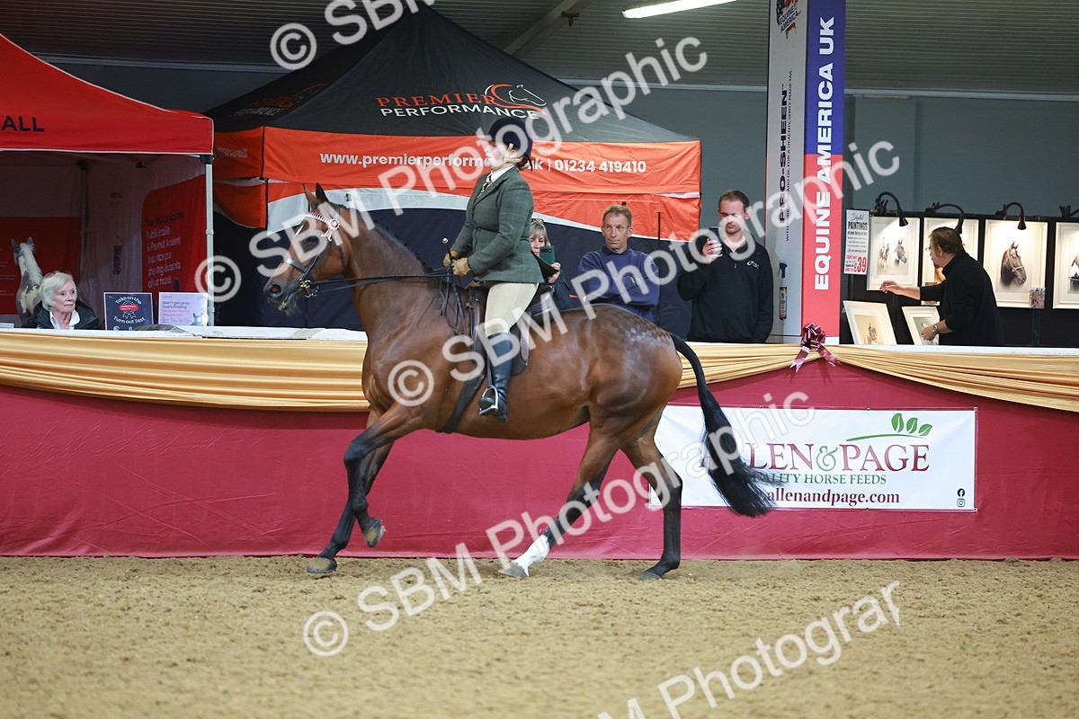 SBM_10651 - Class 103 - HOYS Veteran Qualifier - Ridden Pre Vet