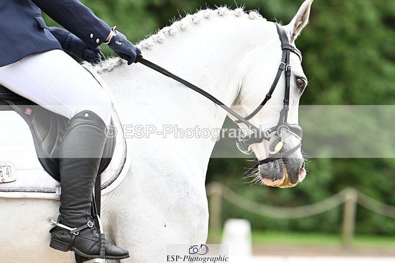 240811-105808-05054 - 164-Amelia.Struel-Tanzanite.Silver.Lining