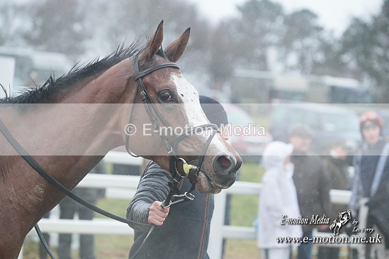 PtP 101223 549 - New Forest Hounds PtP Larkhill 10/12/23