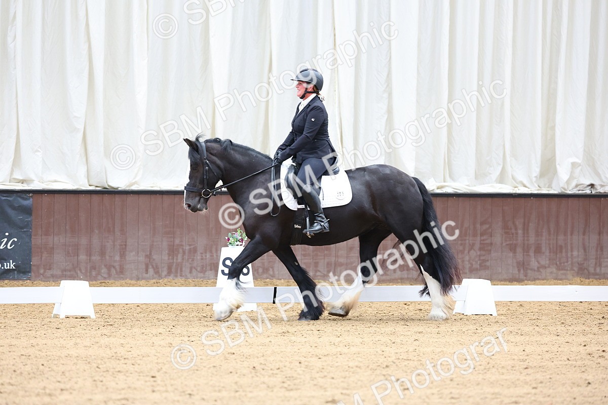 SBM_015794 - Class 15 - Novice FSM - 9.50 - 11.10