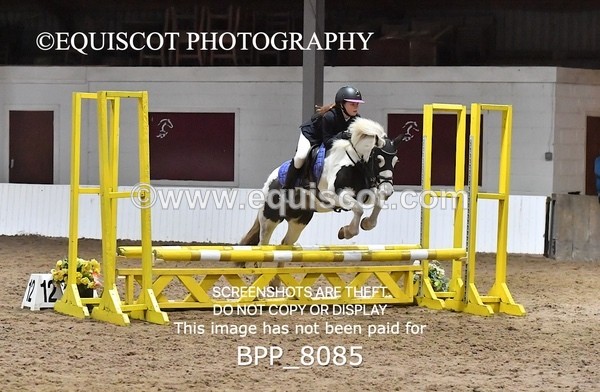 BPP_8085 - CLASS 1  Club/ Unaffiliated 60cms Open