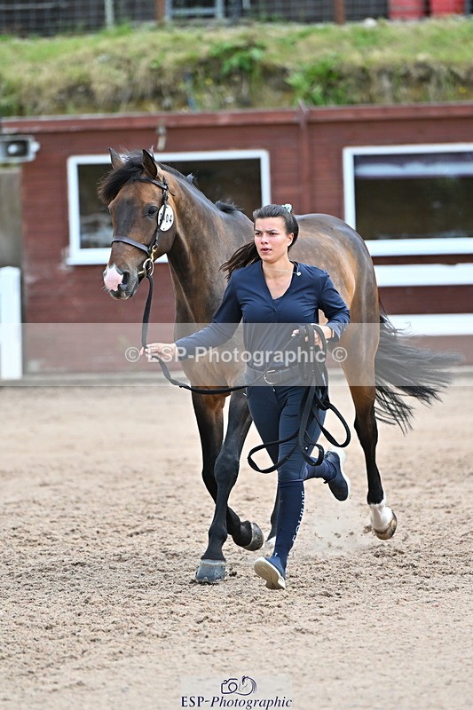 240718A-105309-01621 - Trot Up 1pm to 2pm