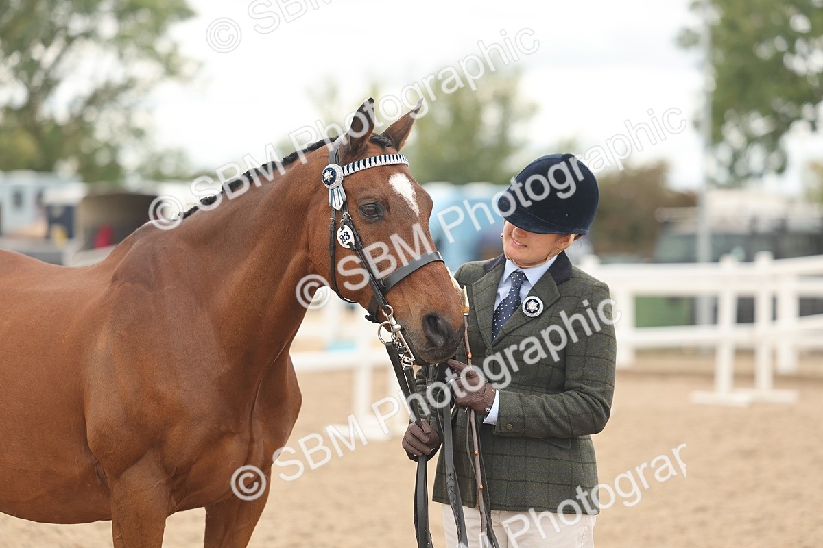 SBM_17113 - Class 313 - IH Retired Racehorse
