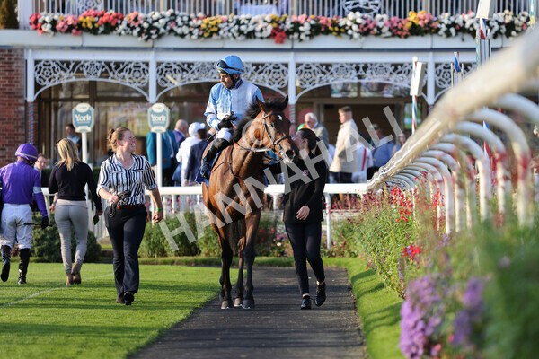yr08102021r6-24 - Race 6 4.55pm Frank Whittle Partnership British EBF Restricted Novice Stakes