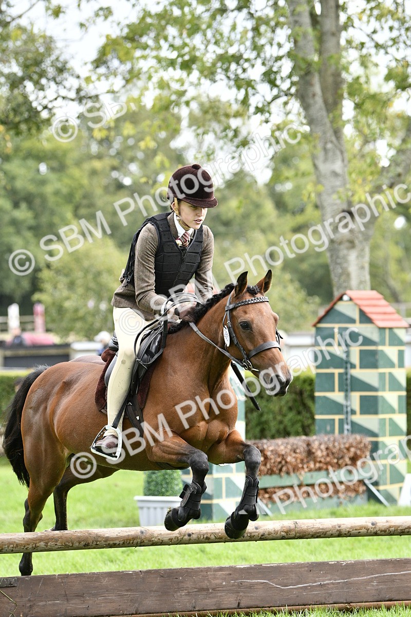 SBM_45613 - S33 - Working Hunter Pony