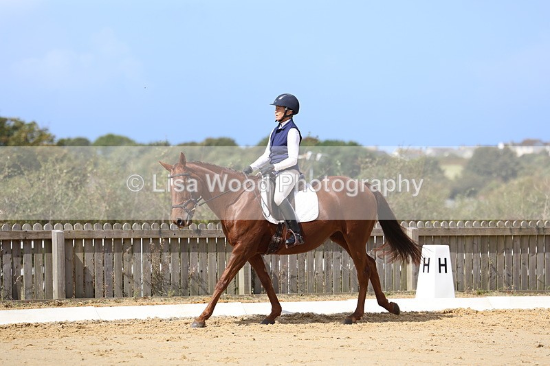 3E7A4020 - Class 9: Novice 6 Section B Championship