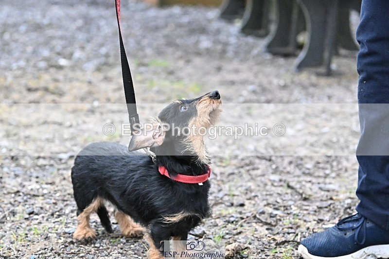 241206-144243-01132 - Naomi