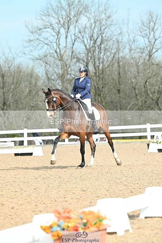 250403-095641-01094 - 037-Fay.Lai-Greenlanes.Lullaby