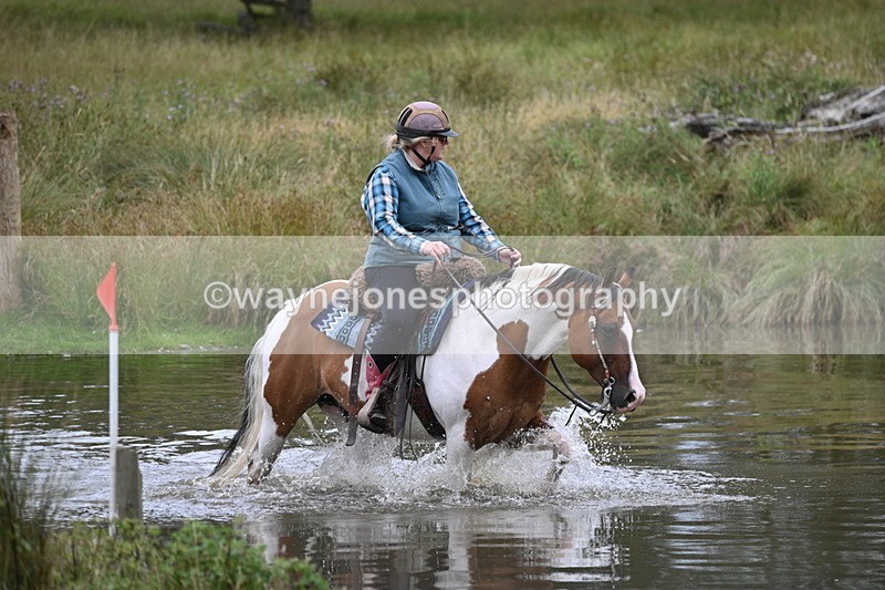 WJ7_3049 - Time at Water 11:37 to 12:13