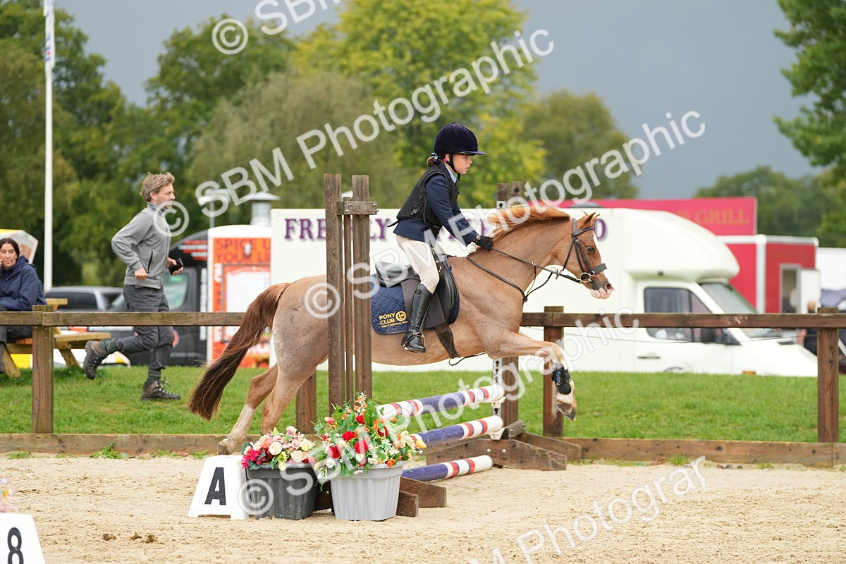 SBM_33415 - J5 - Junior Pony 50cm Championship