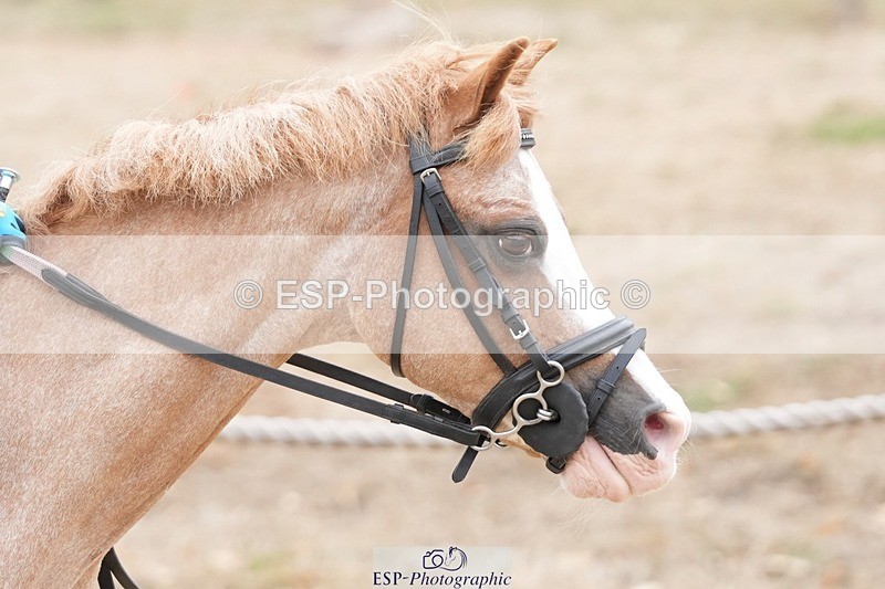 250820A-120044-06185 - Round 2, 11.45 to 12.30 End