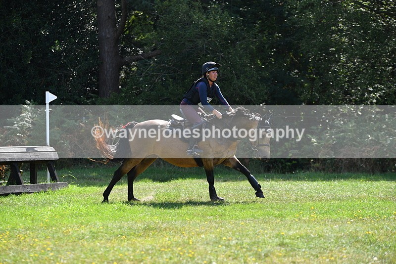 WJ5_2347 - XC Time 11:17 to 11:50