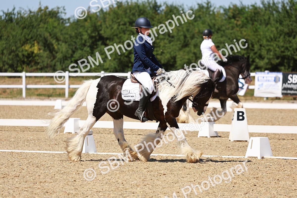 SBM_011831 - Intro 3 - 13.00-14.10