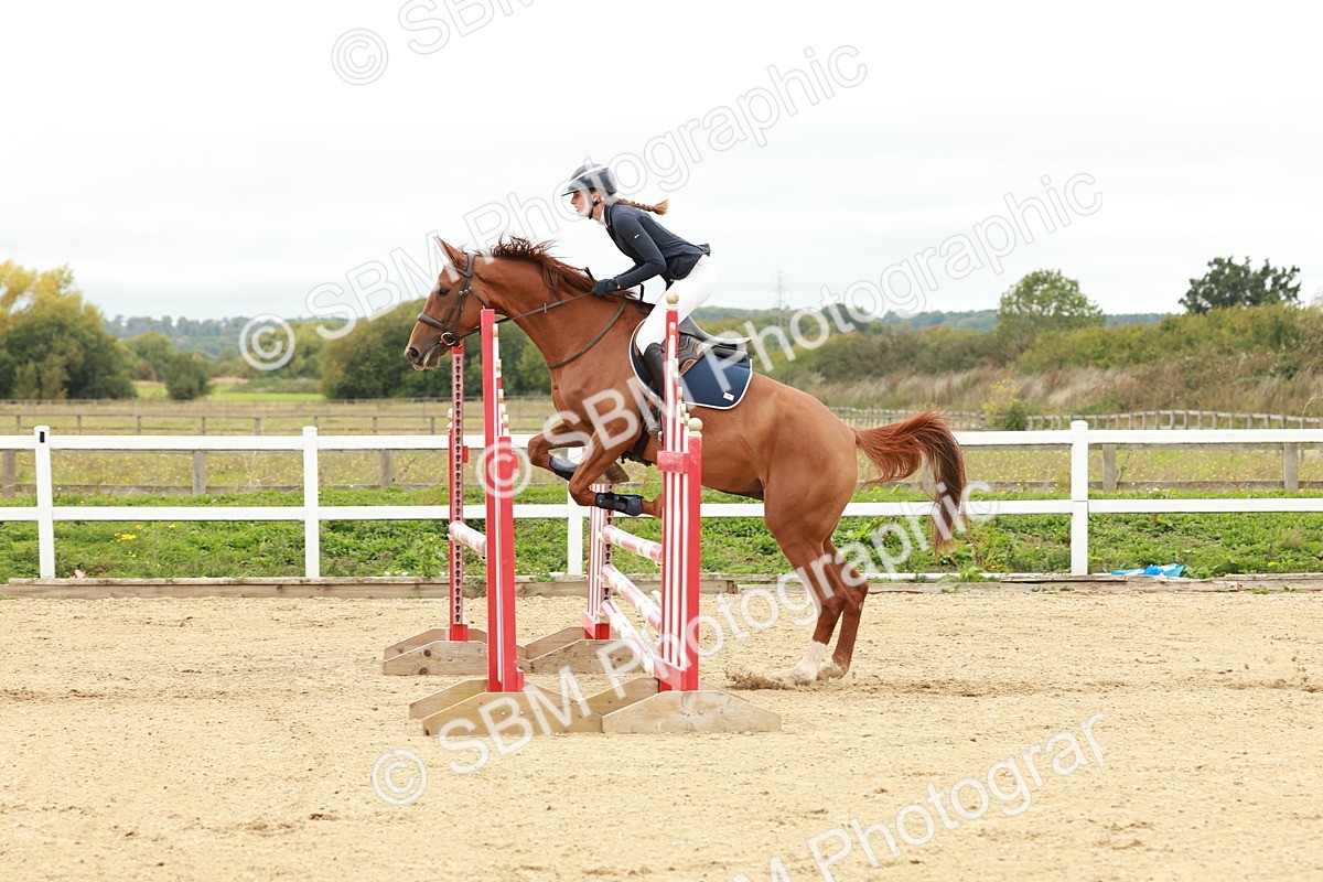 1I0A6961 - Class 2 - Senior British Novice