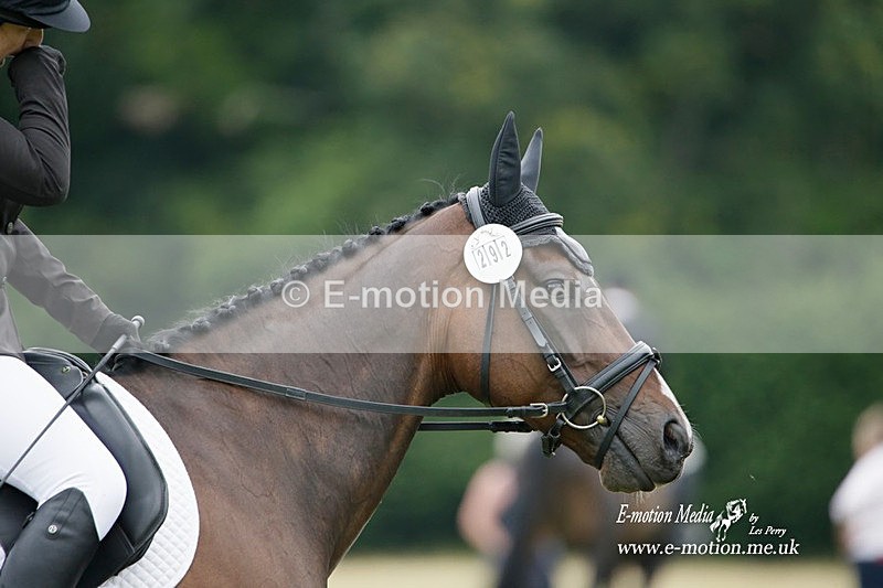 BVRC 030721 218 - Bourne Valley Riding Club Dressage 03/07/21
