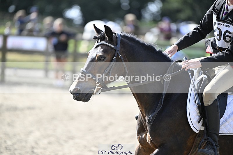 240823X-102329-15155 - 60cm R2 9.30 to 11.00