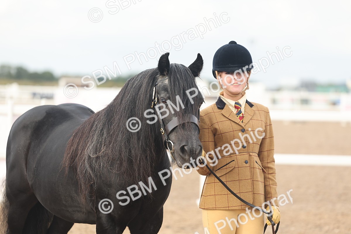 SBM_08576 - Class 29 - IH Veteran Pony