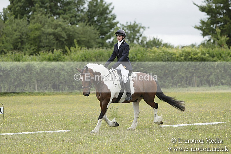 BVR160717-1380 - Class 3 Dressage 16/07/17