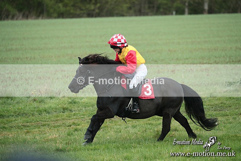 SHETPR 210425 133 - Shetland Ponies Paxford Races 21/04/25