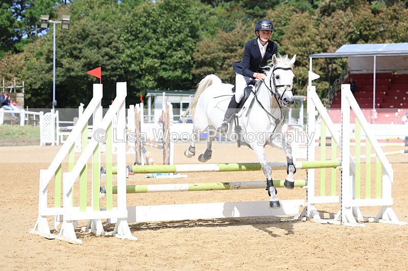 3E7A9183 - Class 9: Senior British Novice/90cm open