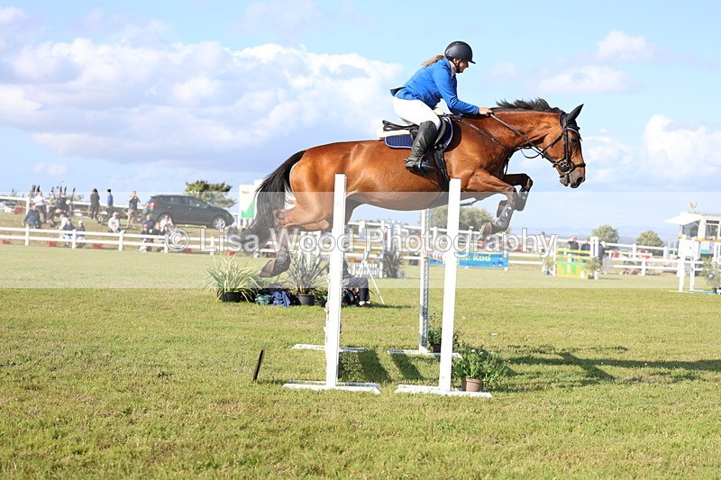 3E7A4362 - Class C: Showjumping Senior Foxhunter