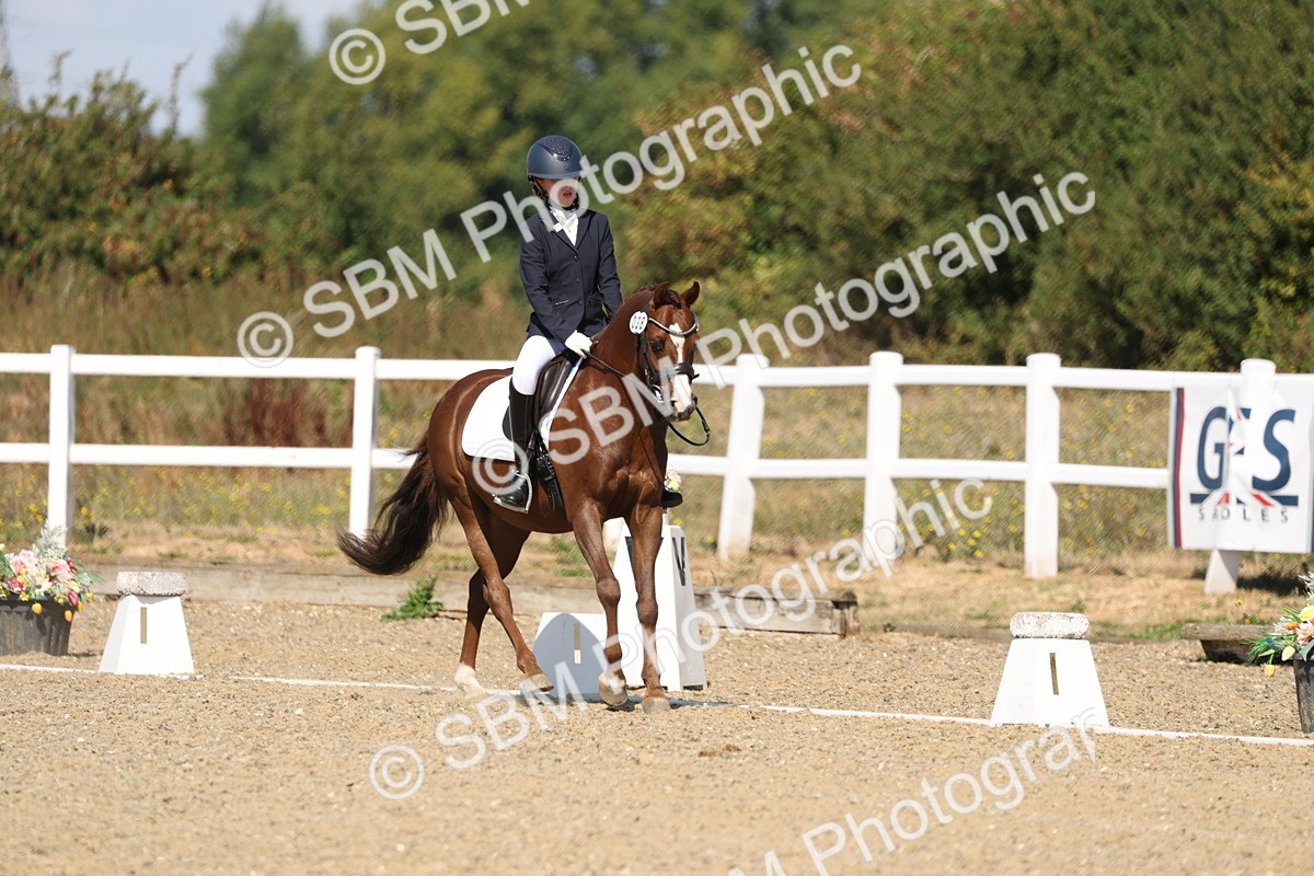 SBM_013711 - Class 1 - P5 Bronze 10.38.12.02