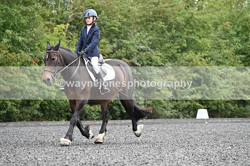 WJ7_0464 - Time 12:36 to 13:13
