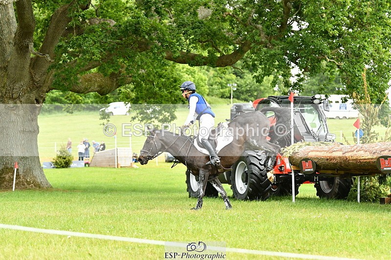 250525A-121620-16633 - D-409-Kirsty.Chabert-HERALDIKS.GIRL.OPPOSITION