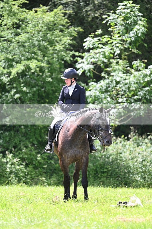 WJ7_2694 - Class 12A Coloured Class