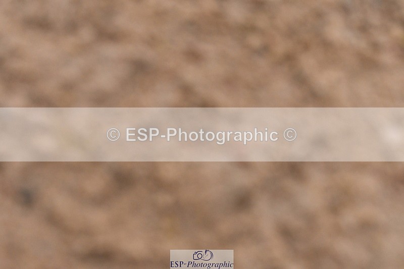 240121A-094326-00263 - Cls 2 Prelim 17A