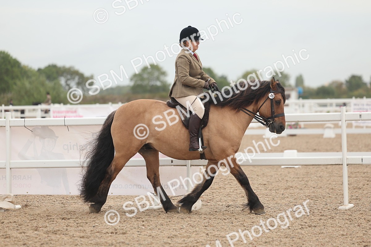 SBM_01855 - Class 14 - Ridden M&M Wildcard