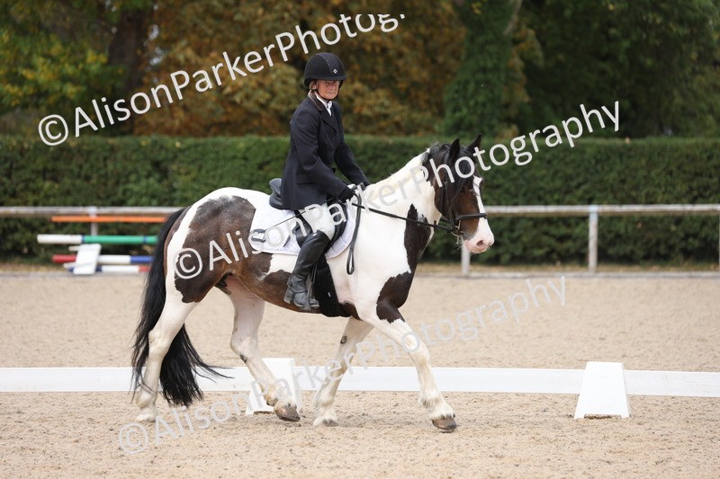 20250819-1347 - Class 4 - Novice 2