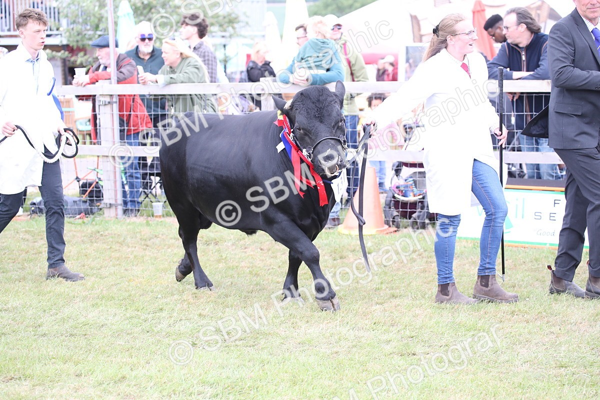 SBM_07847 - Grand Parade