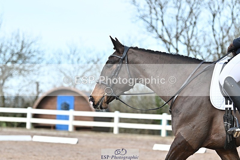 250125-132047-00619 - Dressage - CT Class 6 BE102