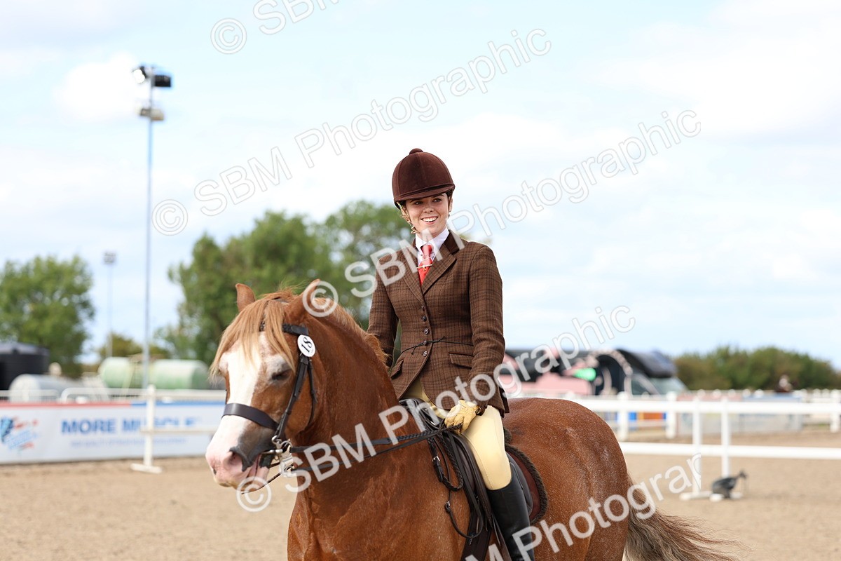 SBM_15858 - Class 314 - Family Horse - Pony