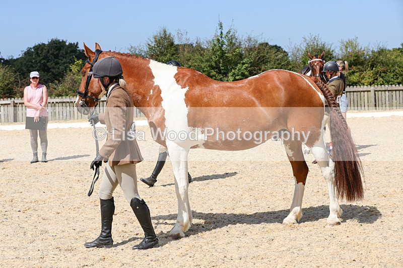 1X9A8285 - Class 12: Coloured Ridden